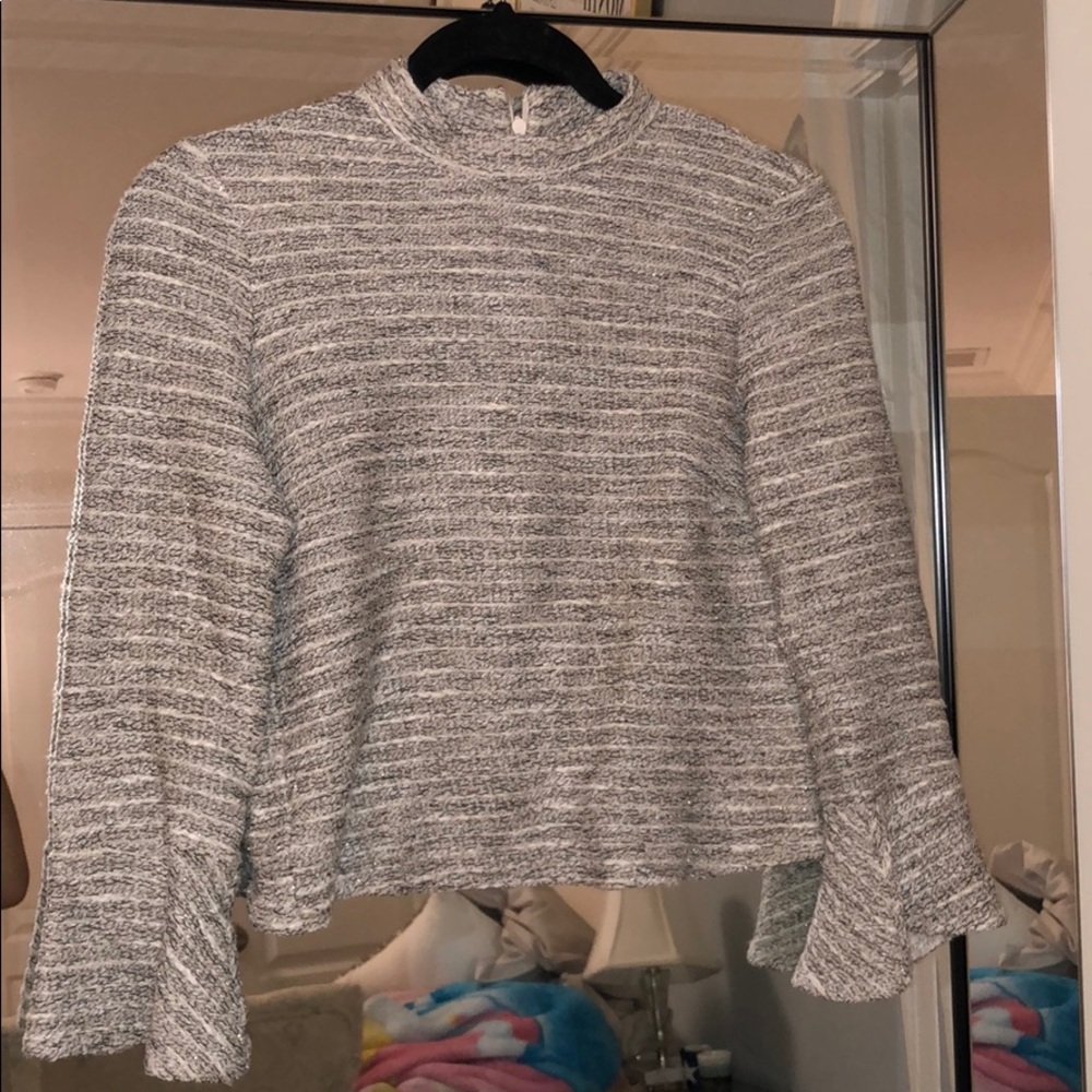 Zara Cropped Dressy Top